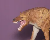 dinozaur-andrewsarchus-marka-collecta