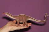 dinozaur-brontosaurus-plec-chlopcy-dziewczynki