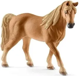 klacz-rasy-tennessee-walker-saszetka