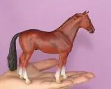 prosie-siedzace-marka-collecta