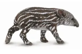 tapir-ciele-bairda
