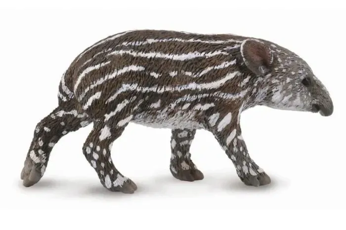 tapir-ciele-bairda