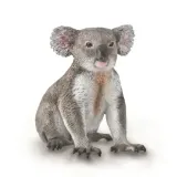 mis-koala