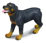 pies-rottweiler-stan-nowy