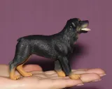 pies-rottweiler-bohater-brak
