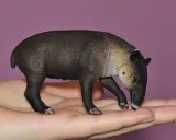 tapir-ciele-bairda-bohater-brak