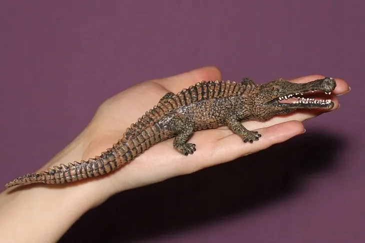 dinozaur-sarcosuch-plec-chlopcy-dziewczynki