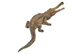 dinozaur-sarcosuch-material-plastik