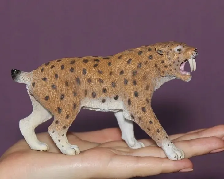 smilodon-plec-chlopcy-dziewczynki
