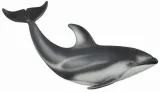 delfin-pacyfic