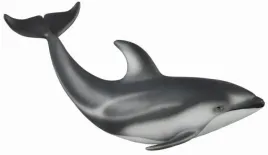 delfin-pacyfic