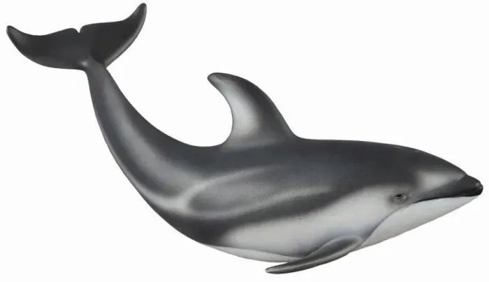delfin-pacyfic