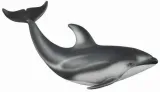 delfin-pacyfic-stan-nowy