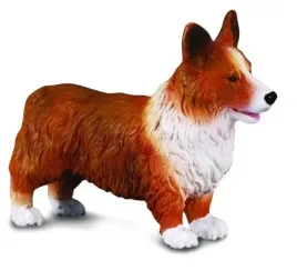 pies-irlandzki-corgie