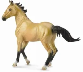 klacz-akhal-teke-buckskin