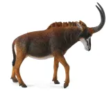 antylopa-gigant-sable-samica-stan-nowy