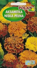 aksamitka-rozpierzchla-niska-1g-nasiona-kwiatow-polan