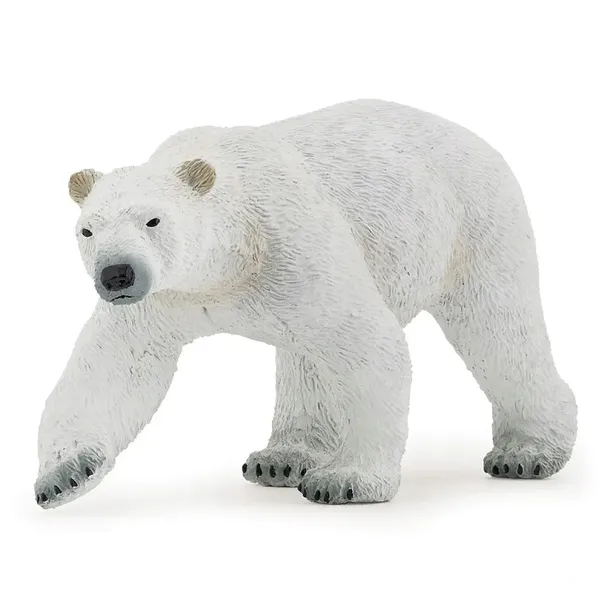 niedzwiedz-polarny-stan-nowy