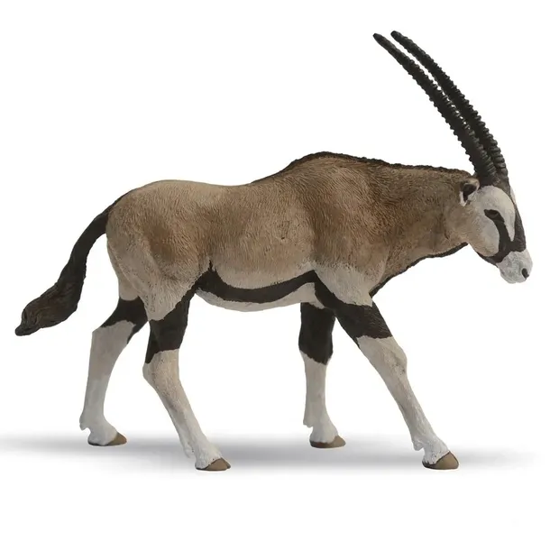antylopa-oryx-stan-nowy