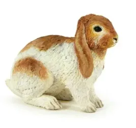 krolik-holland-lop