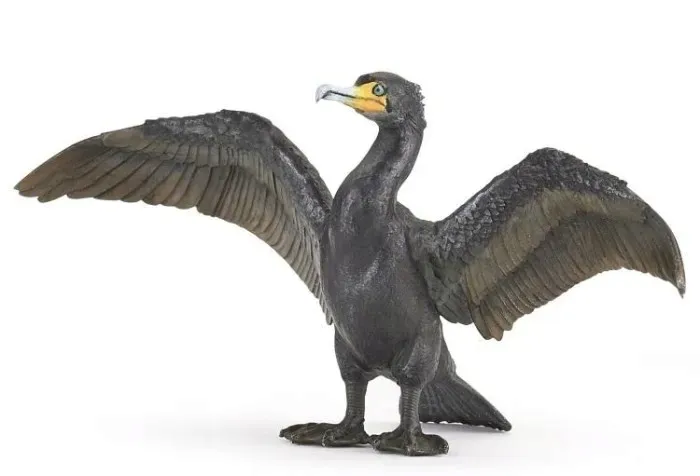 kormoran