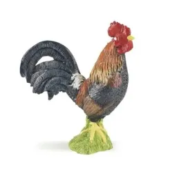 kogut
