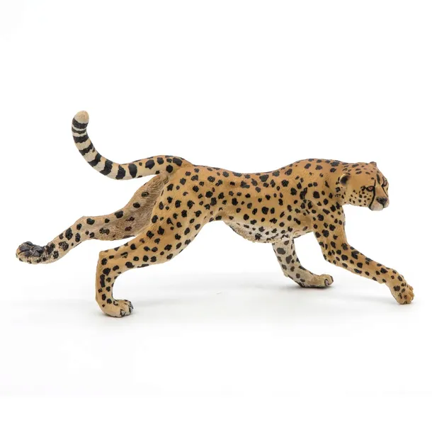 gepard-grzywiasty-biegnacy-bohater-inny