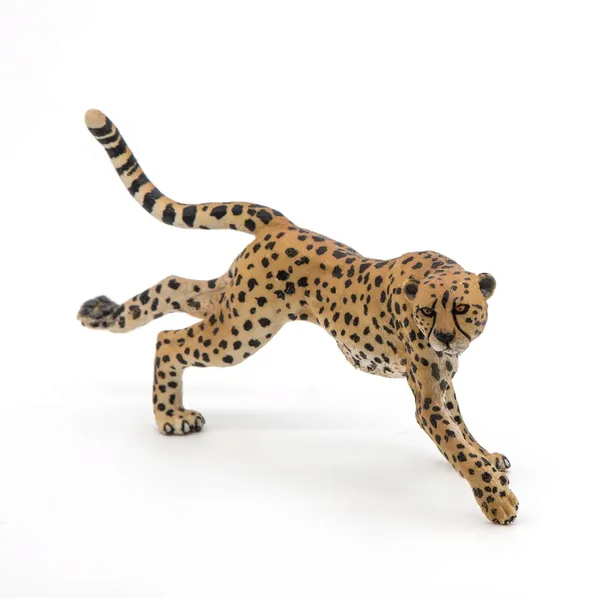 gepard-grzywiasty-biegnacy-plec-chlopcy-dziewczynki