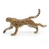 gepard-grzywiasty-biegnacy-marka-papo
