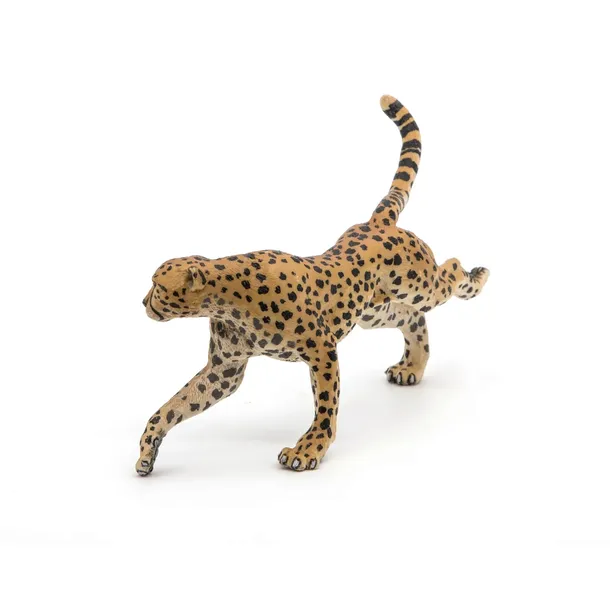 gepard-grzywiasty-biegnacy-certyfikaty-opinie-atesty-ce