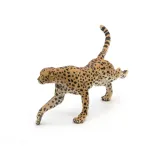 gepard-grzywiasty-biegnacy-certyfikaty-opinie-atesty-ce