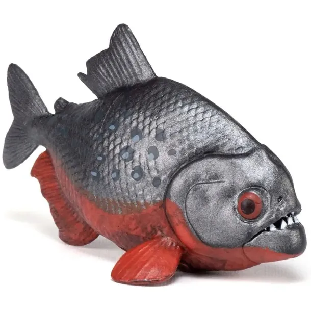 pirania-plec-chlopcy-dziewczynki