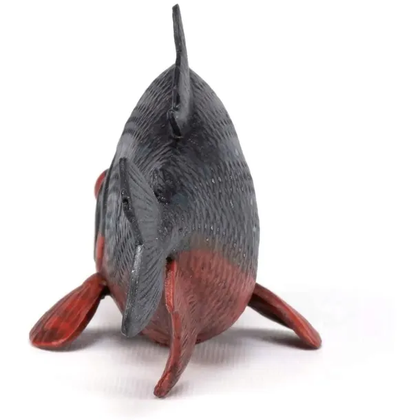 pirania-marka-papo