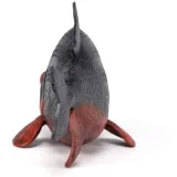 pirania-marka-papo