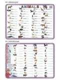 podkladka-edu-04-animals-jezyk-angielski