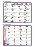 podkladka-edu-04-animals-jezyk-angielski-marka-visual-system