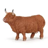 byk-highland-cattle