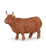 byk-highland-cattle-stan-nowy