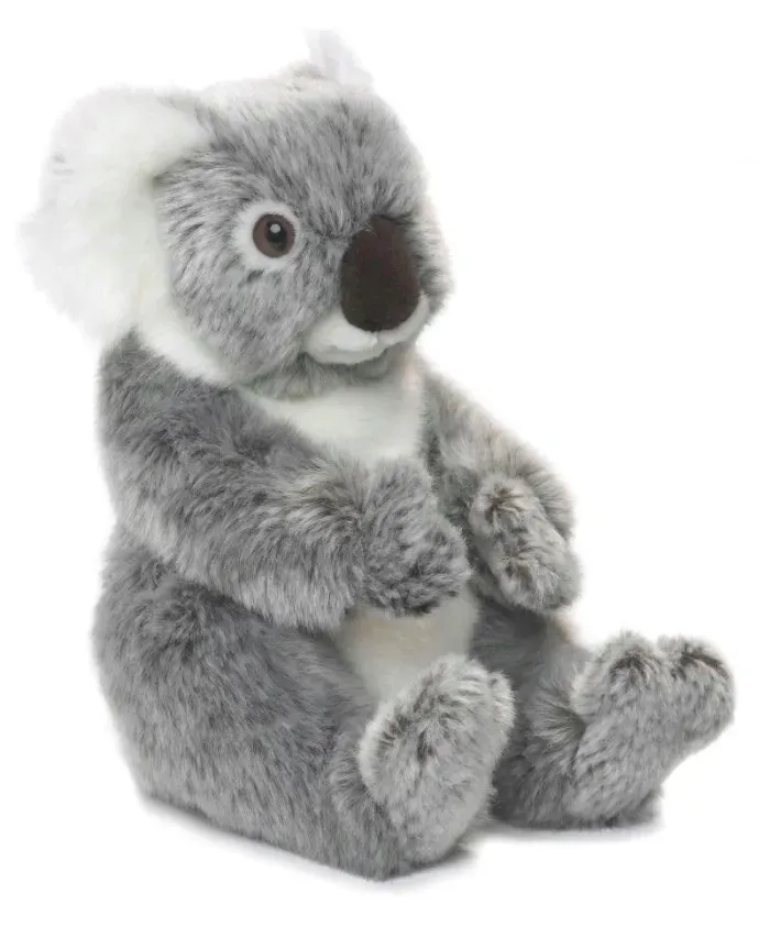 koala-22-wwf