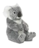 koala-22-wwf-stan-nowy
