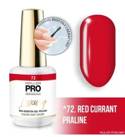 72-red-currant-praline-profesjonalny-lakier-hybrydowy-o-konsystencji-zel