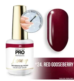 24-red-gooseberry-profesjonalny-lakier-hybrydowy-o-konsystencji-zelu-uv