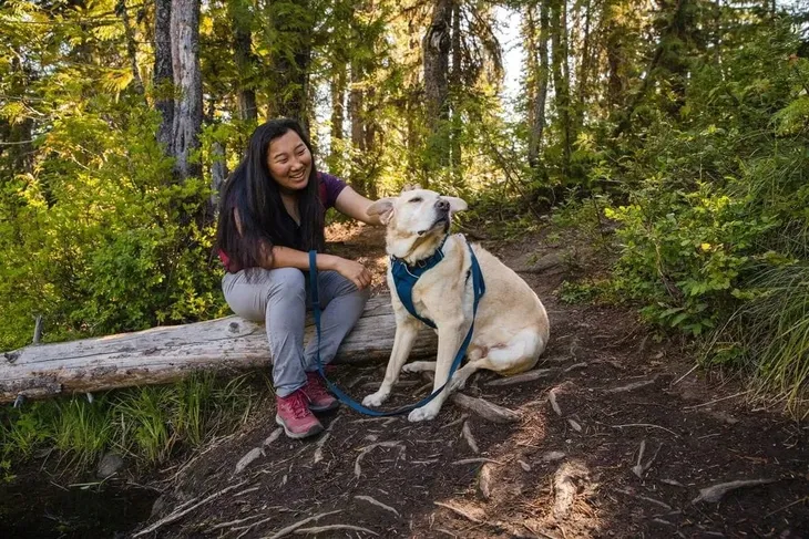 ruffwear-front-range-harness-szelki-dla-psa-blue-pool-xs-maksymalny-obwod-klatki-56-cm