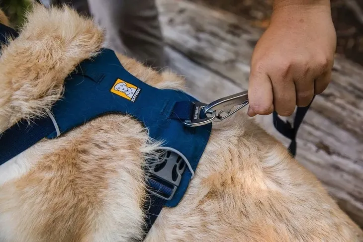 ruffwear-front-range-harness-szelki-dla-psa-blue-pool-xs-stan-opakowania-oryginalne