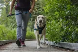 ruffwear-front-range-harness-szelki-dla-psa-blue-pool-s-typ-regulowane