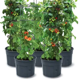 5x-doniczka-do-uprawy-pomidorow-donica-do-uprawy-domowej-153-cm-wysokosci