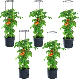 doniczka-na-pomidory-do-uprawy-pomidorow-tomato-grower-zestaw-5-szt