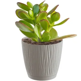 doniczka-donica-okragla-z-podstawka-do-domu-na-taras-sandy-p-129-cm-mocca