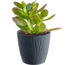 doniczka-oslonka-okragla-z-podstawka-129-cm-antra