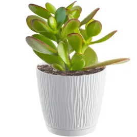 doniczka-oslonka-okragla-z-podstawka-129-cm-biala